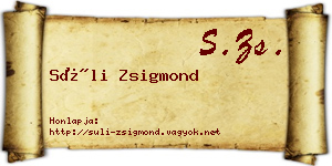 Süli Zsigmond névjegykártya